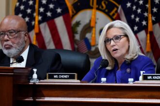 Biden awards Liz Cheney, Jan 6 committee chairman a medal: US ‘is better because of their dedication’