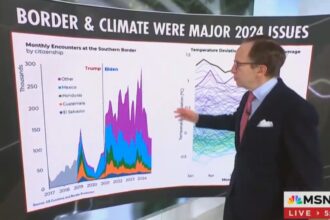 MSNBC Finally Admits Biden’s Damning Record On The Border: Trump ‘Is Not Wrong’