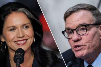 Dems accused of ‘stonewalling’ Tulsi Gabbard confirmation after GOP demands quick hearing