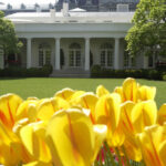 White House Rose Garden: Photos of the Key Historical Moments