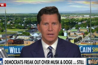 Will Cain says there is ‘no reason’ to paint DOGE as a ‘reason to panic’