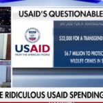 DOGE is targeting 'multi-billion dollar money pot,' former USAID chief operating officer says