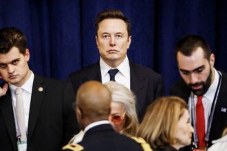 Why Is Elon Musk So Hell-Bent on Bulldozing the Government?