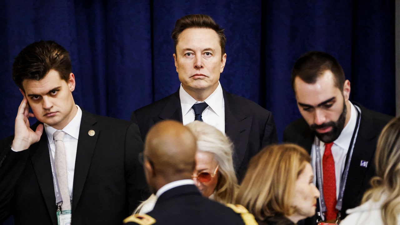 Why Is Elon Musk So Hell-Bent on Bulldozing the Government?