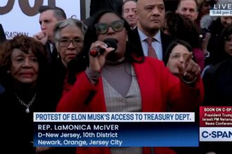 Dems voice anger at Elon Musk’s access to Treasury Department