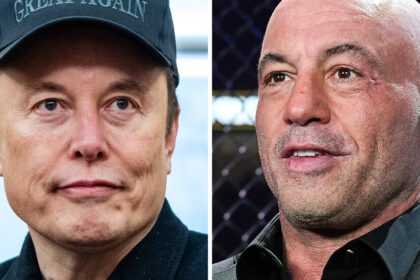 Social Security and Sex Robots: Musk Veers Off Script With Joe Rogan