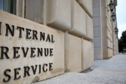 DOGE Flamethrower Lights Up IRS