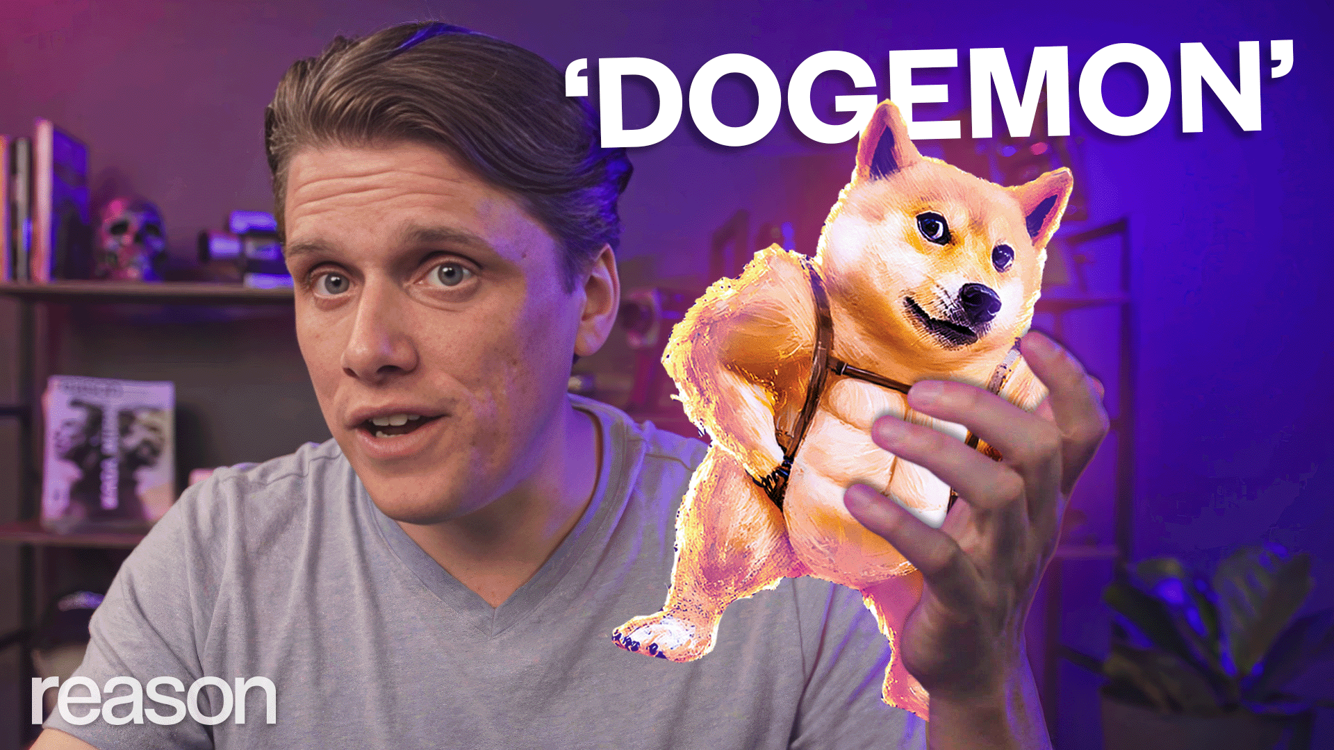 How Pokémon helps explain DOGE